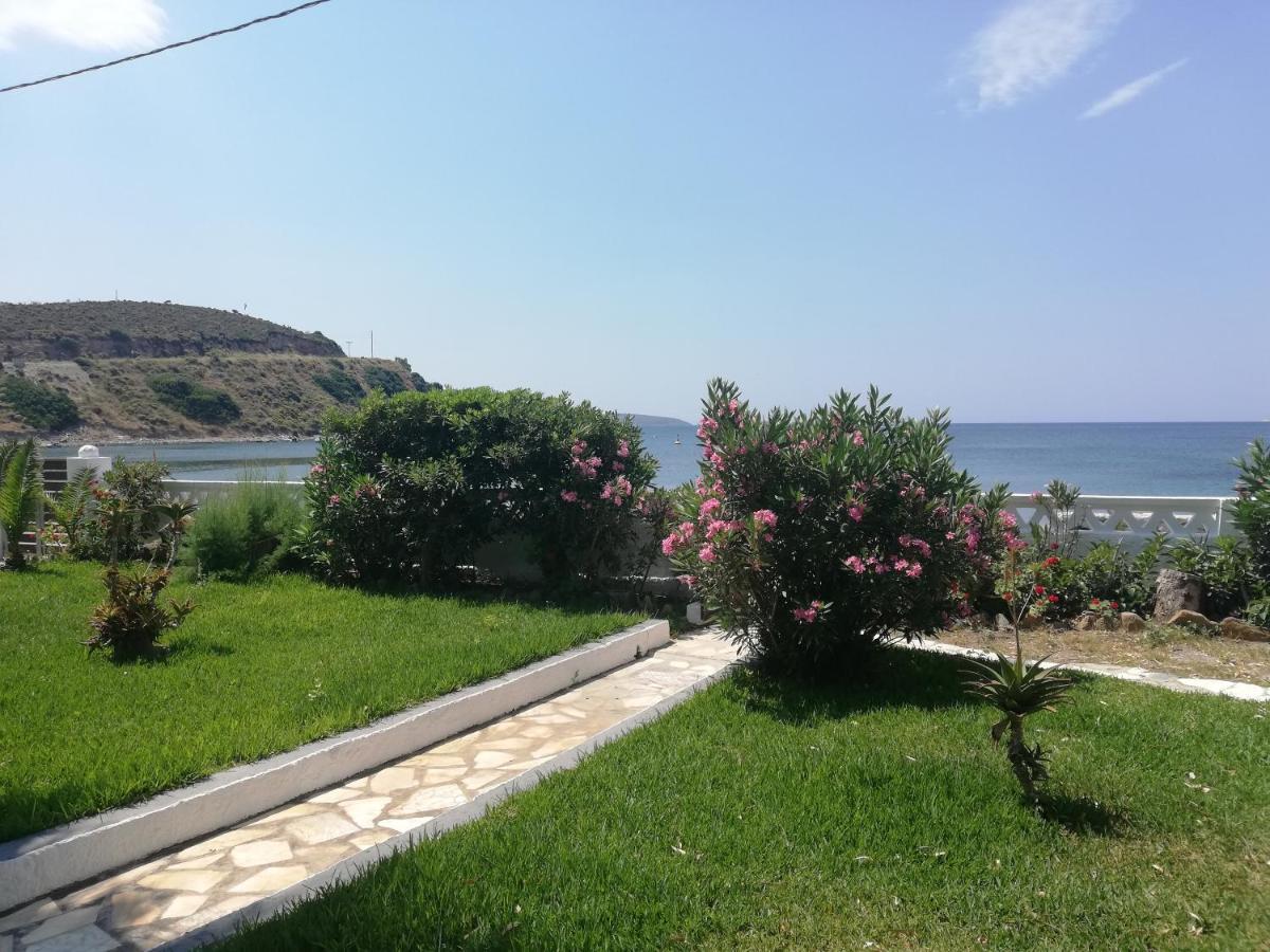 Pansion Katerina Skyros Διαμέρισμα Αχερούνες Εξωτερικό φωτογραφία